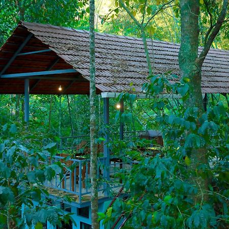 Snow Hills Resorts Thekkady Esterno foto
