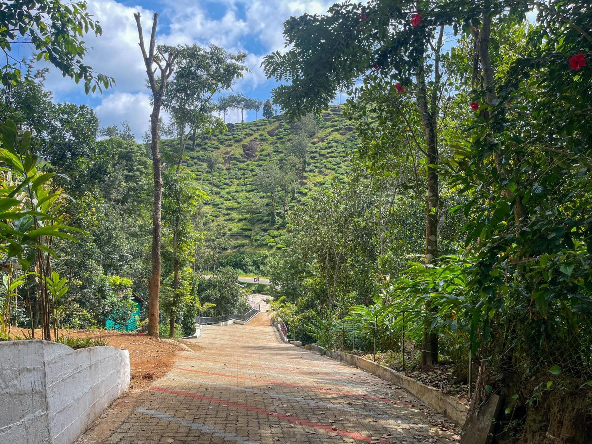 Snow Hills Resorts Thekkady Esterno foto