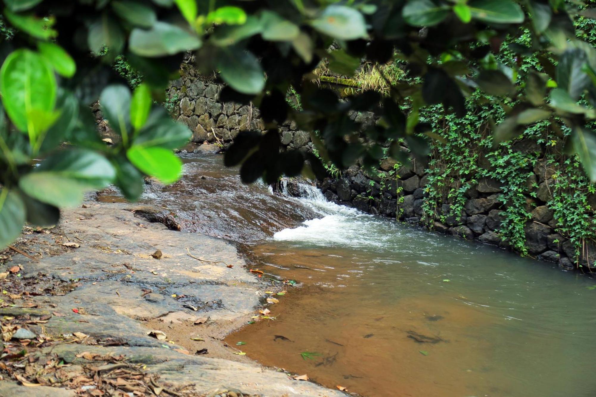 Snow Hills Resorts Thekkady Esterno foto